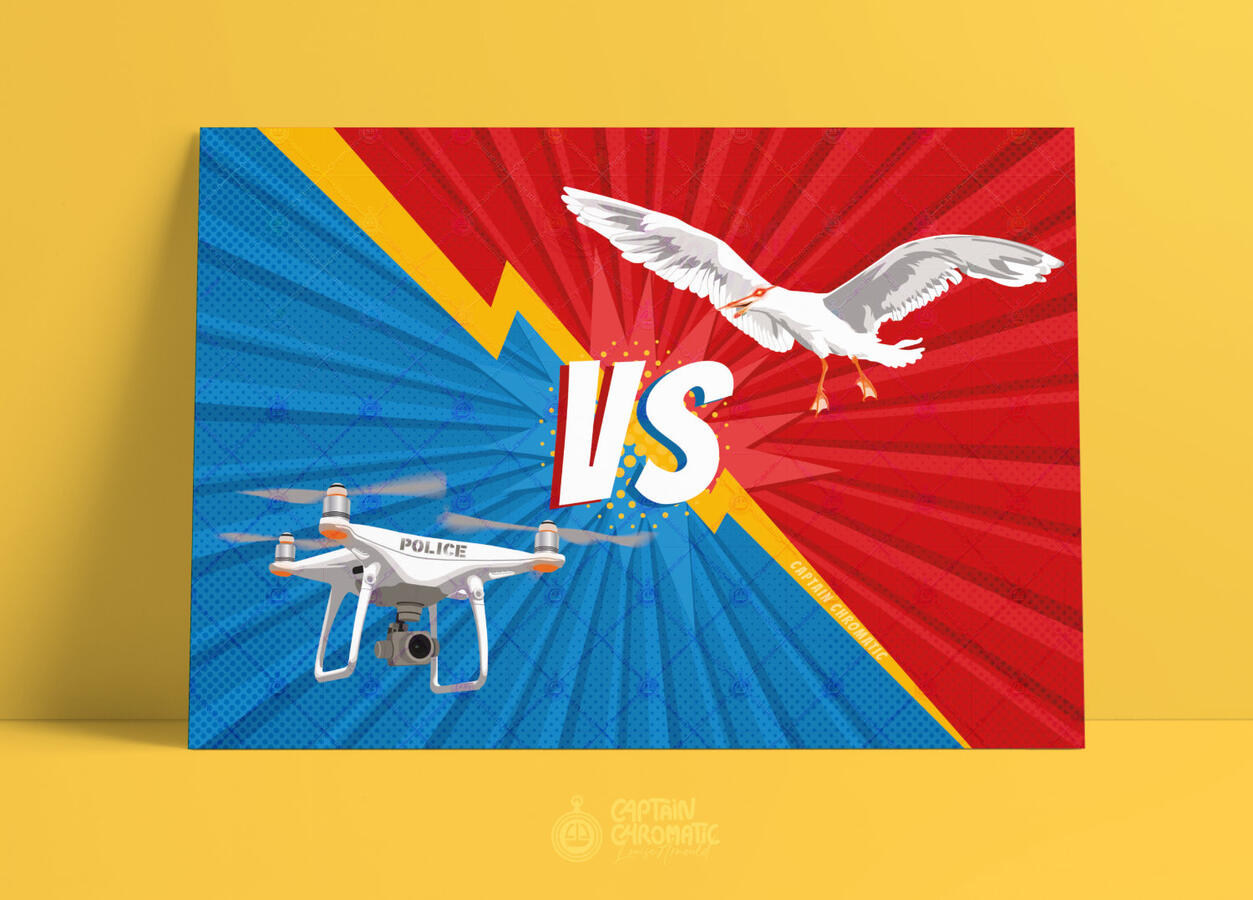 Les goélands attaquent le drone de la police