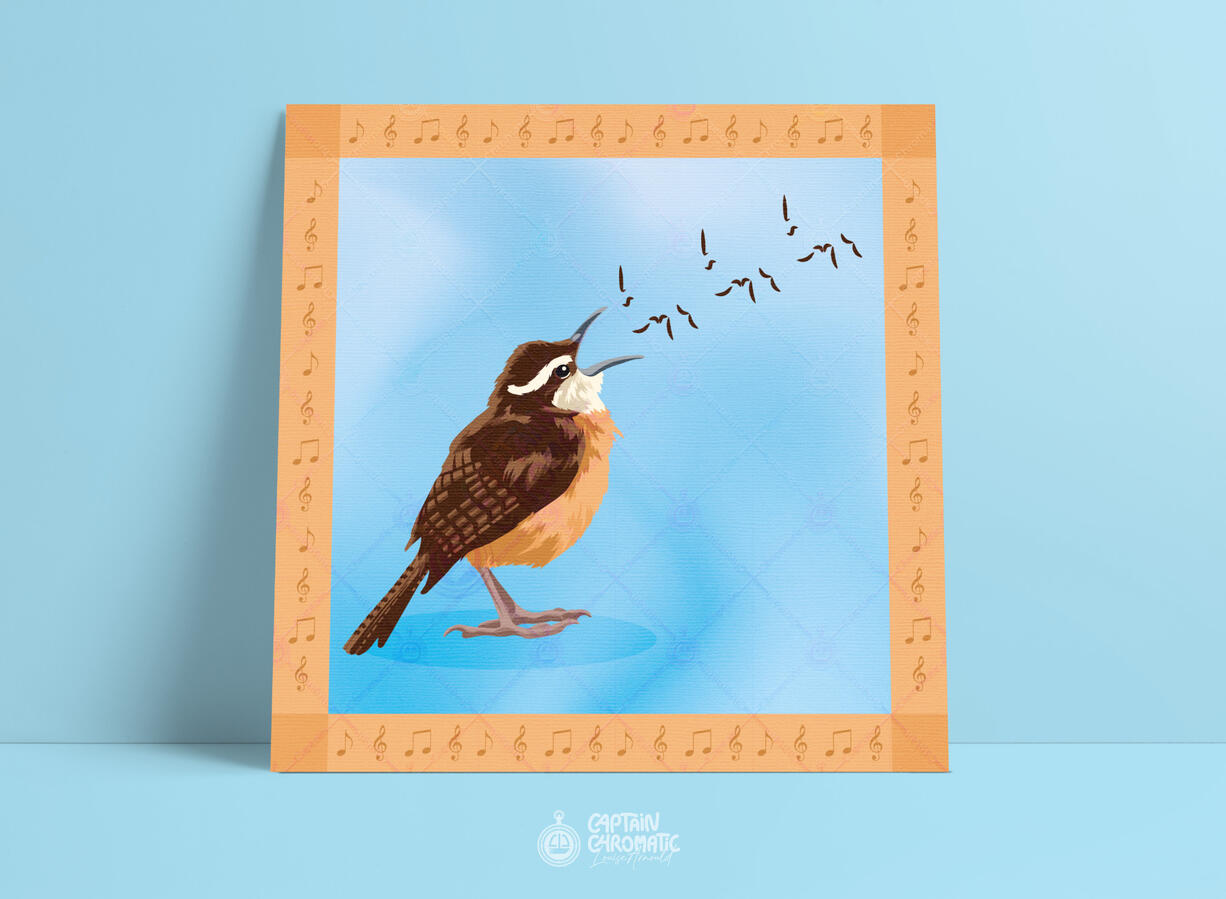 Le chant du troglodyte de Caroline