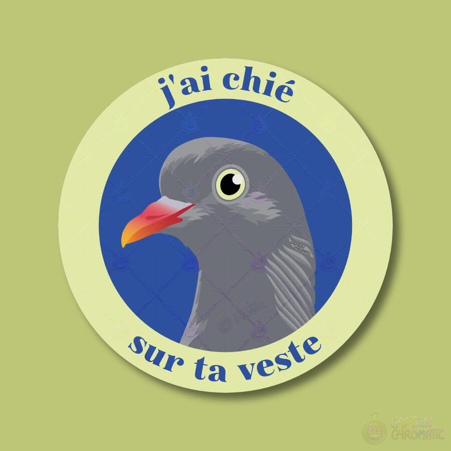 Pigeon sympa