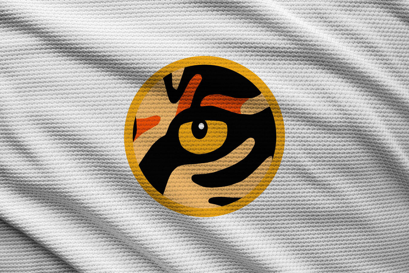 Logo oeil de tigre