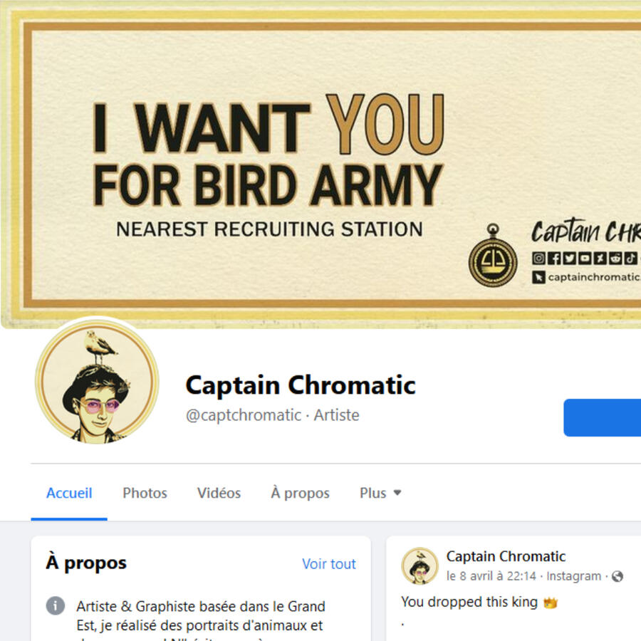 Captain Chromatic - Bannière et profil