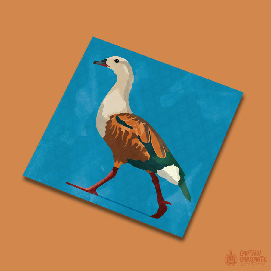 Ouette de l'Orénoque