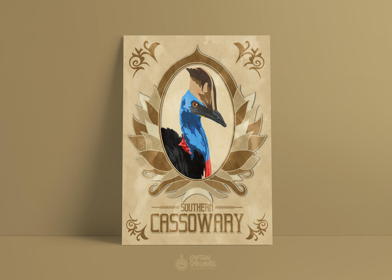 Southern cassowary