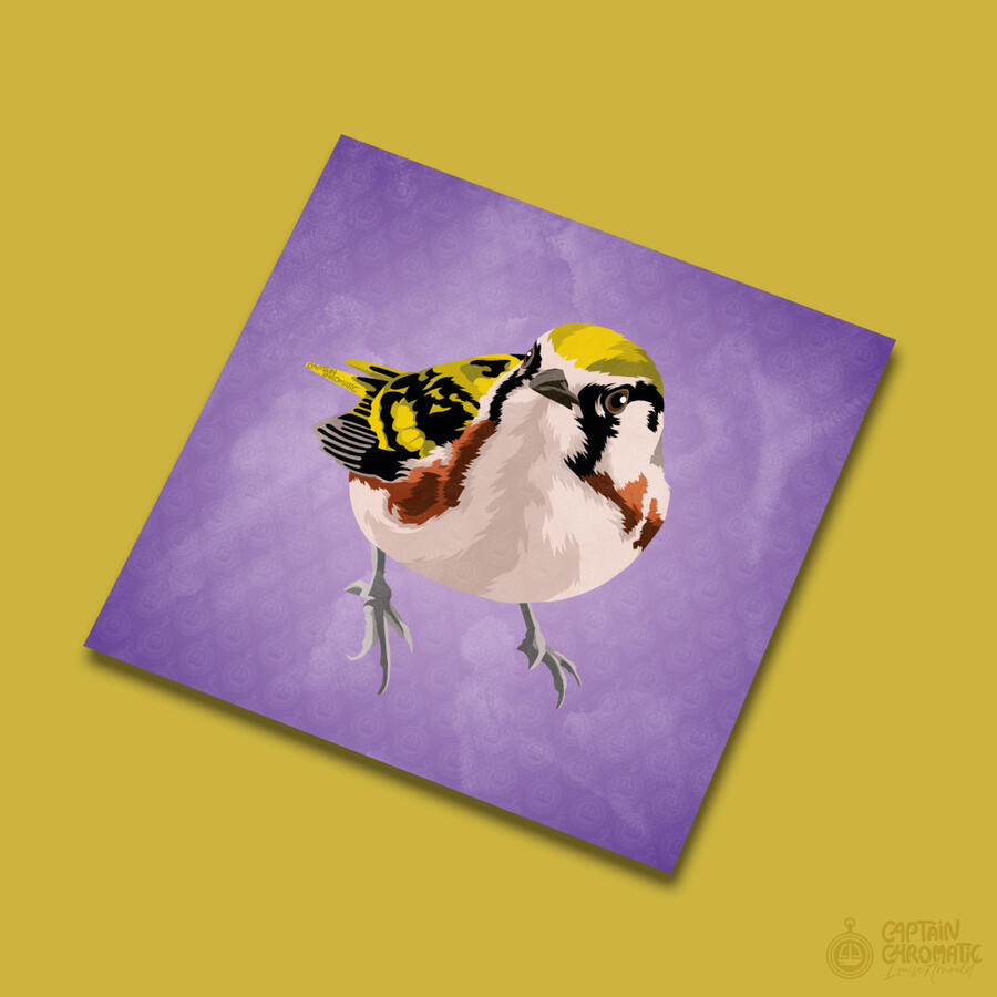 Paruline à flancs marron