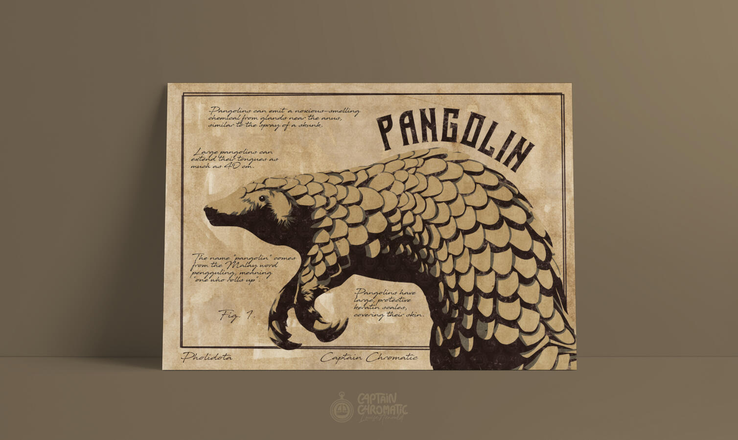 Pangolin