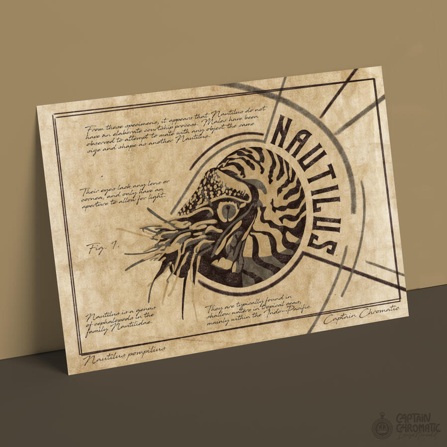 Nautilus