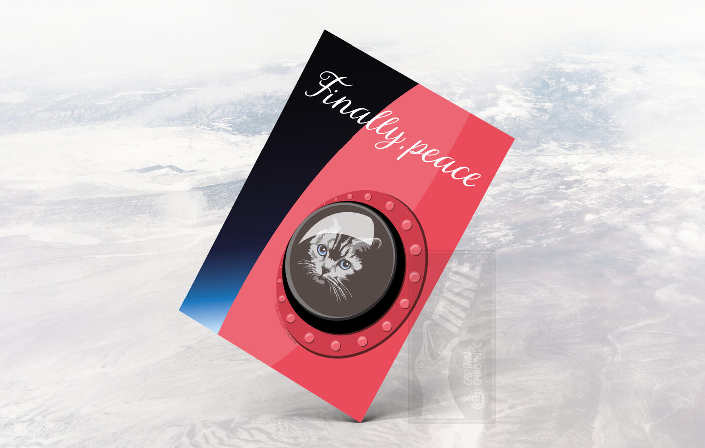 Cat is done with humans