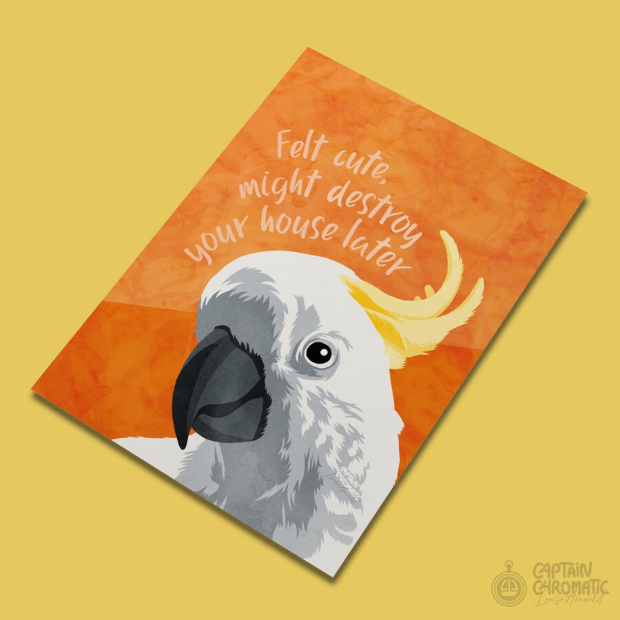 Cockatoo