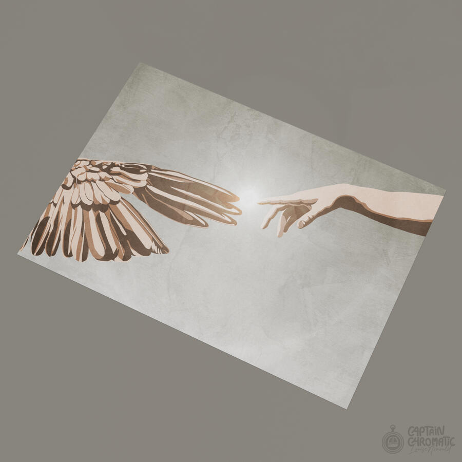 The creation of Birds