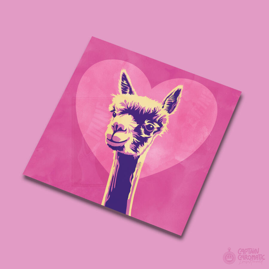 Alpaca luv