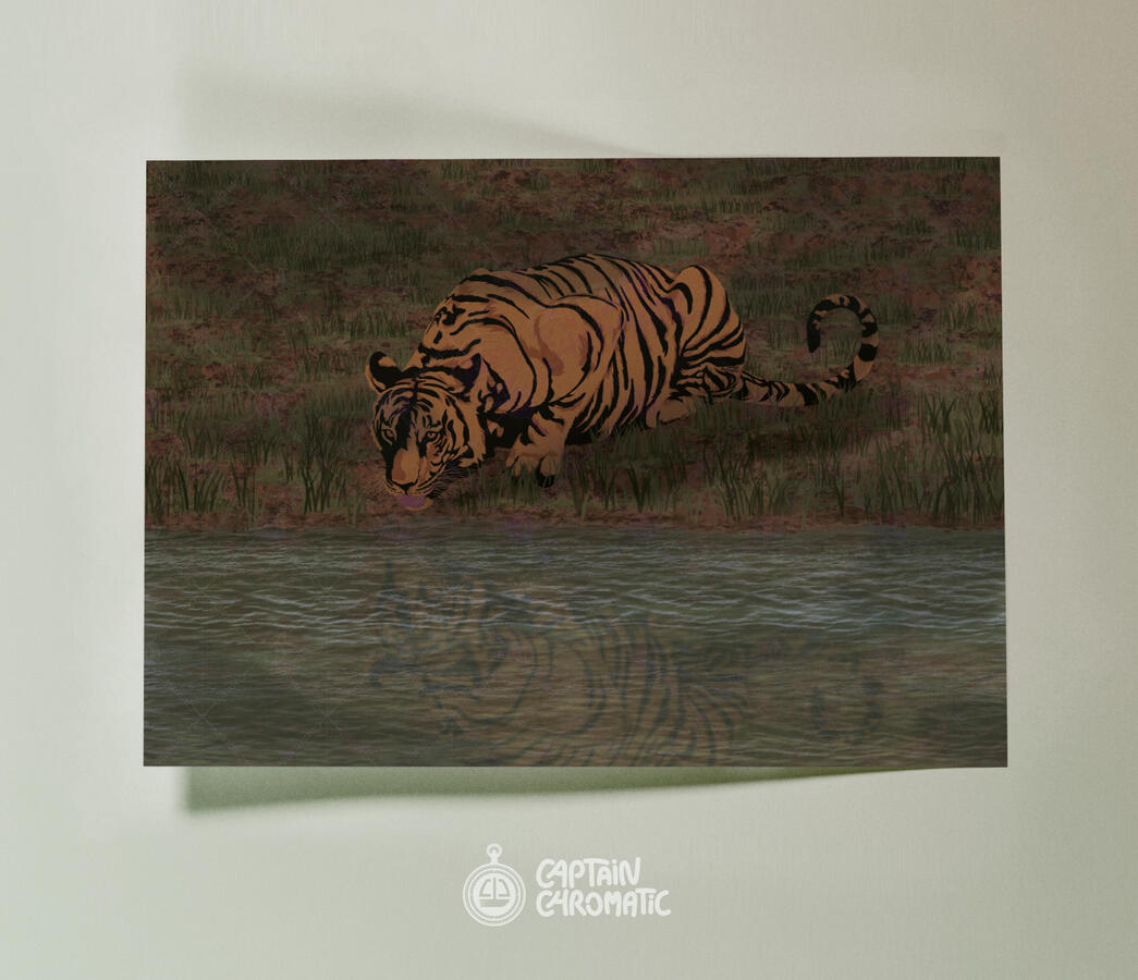 Tiger reflection